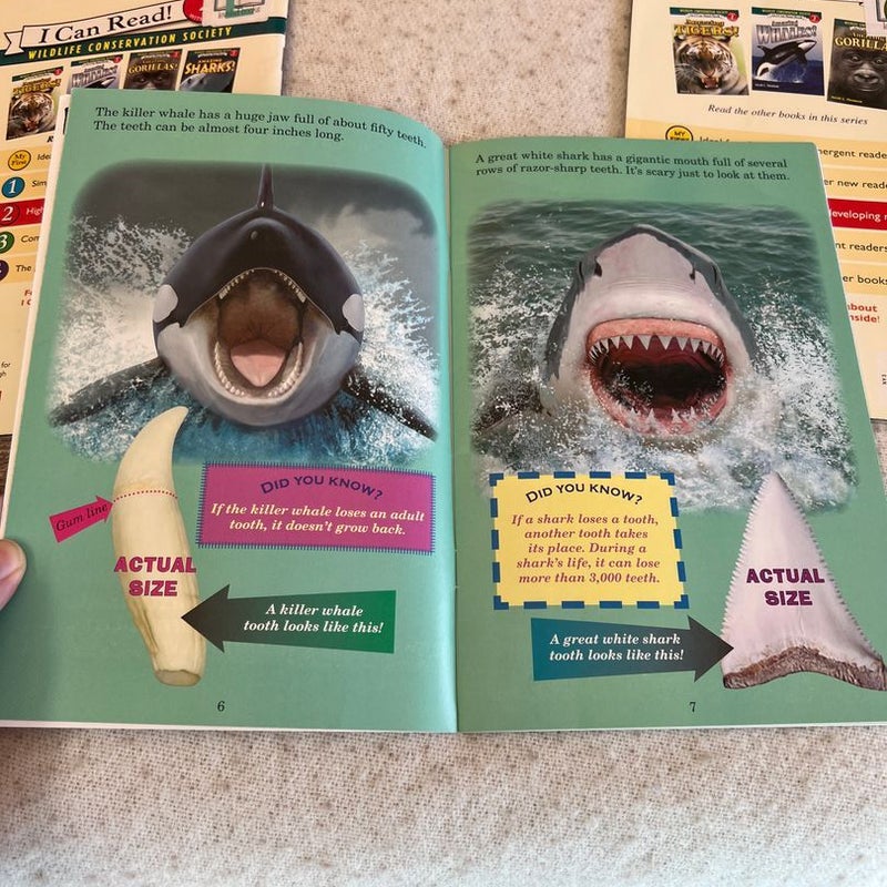 Ocean Animals: Who Would Win, Amazing Sharks, Amazing Dolphins