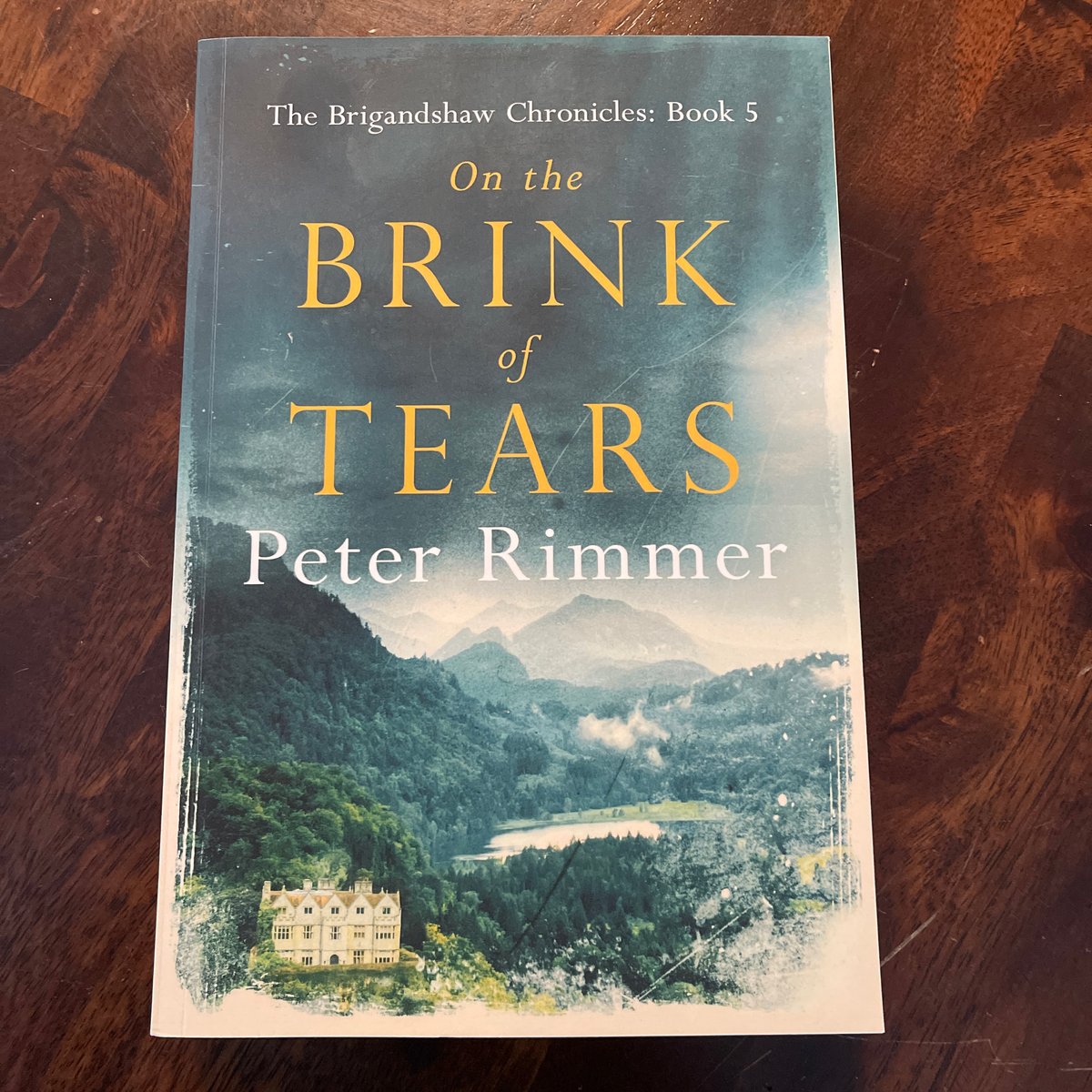 On the Brink of Tears by Peter Rimmer