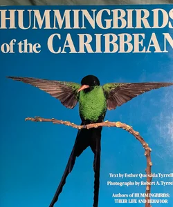 Hummingbirds of the Caribbean