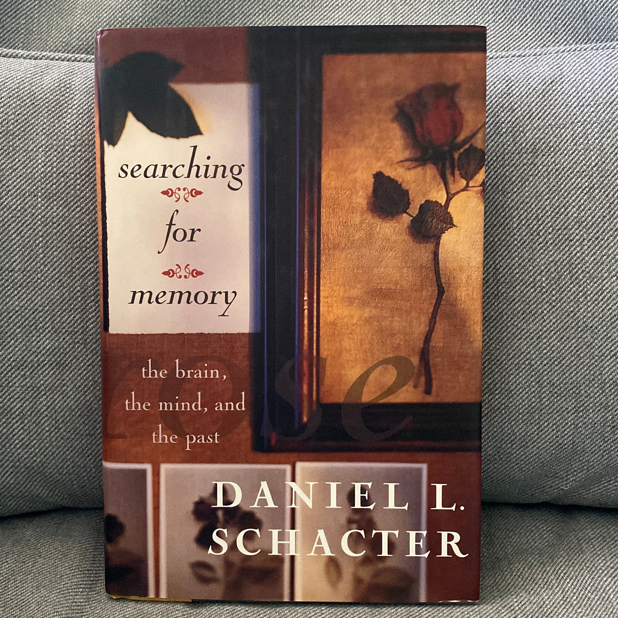 Searching for Memory