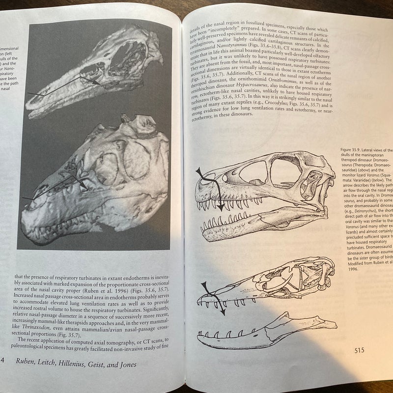 The Complete Dinosaur