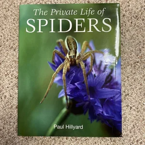 Private Life of Spiders