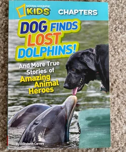 Dog Finds Lost Dolphins