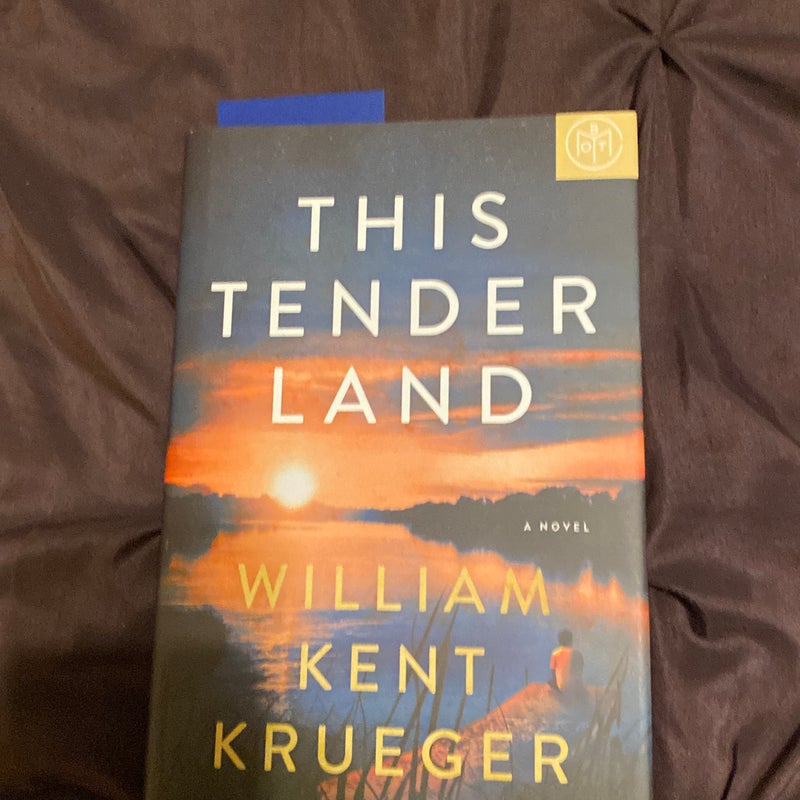 This Tender Land