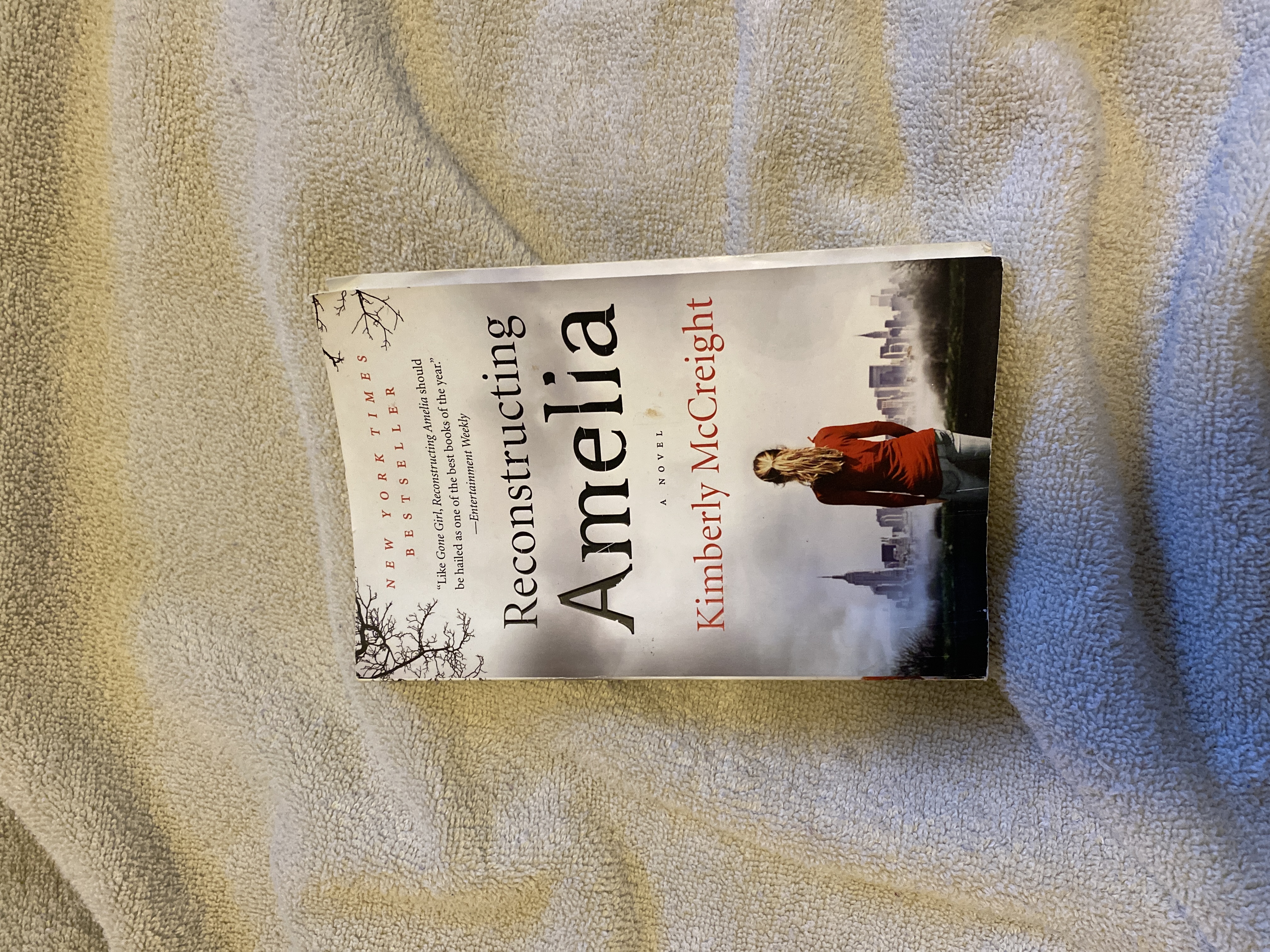 Reconstructing Amelia