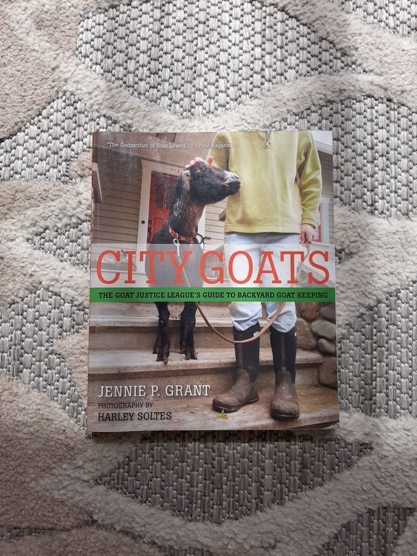 City Goats