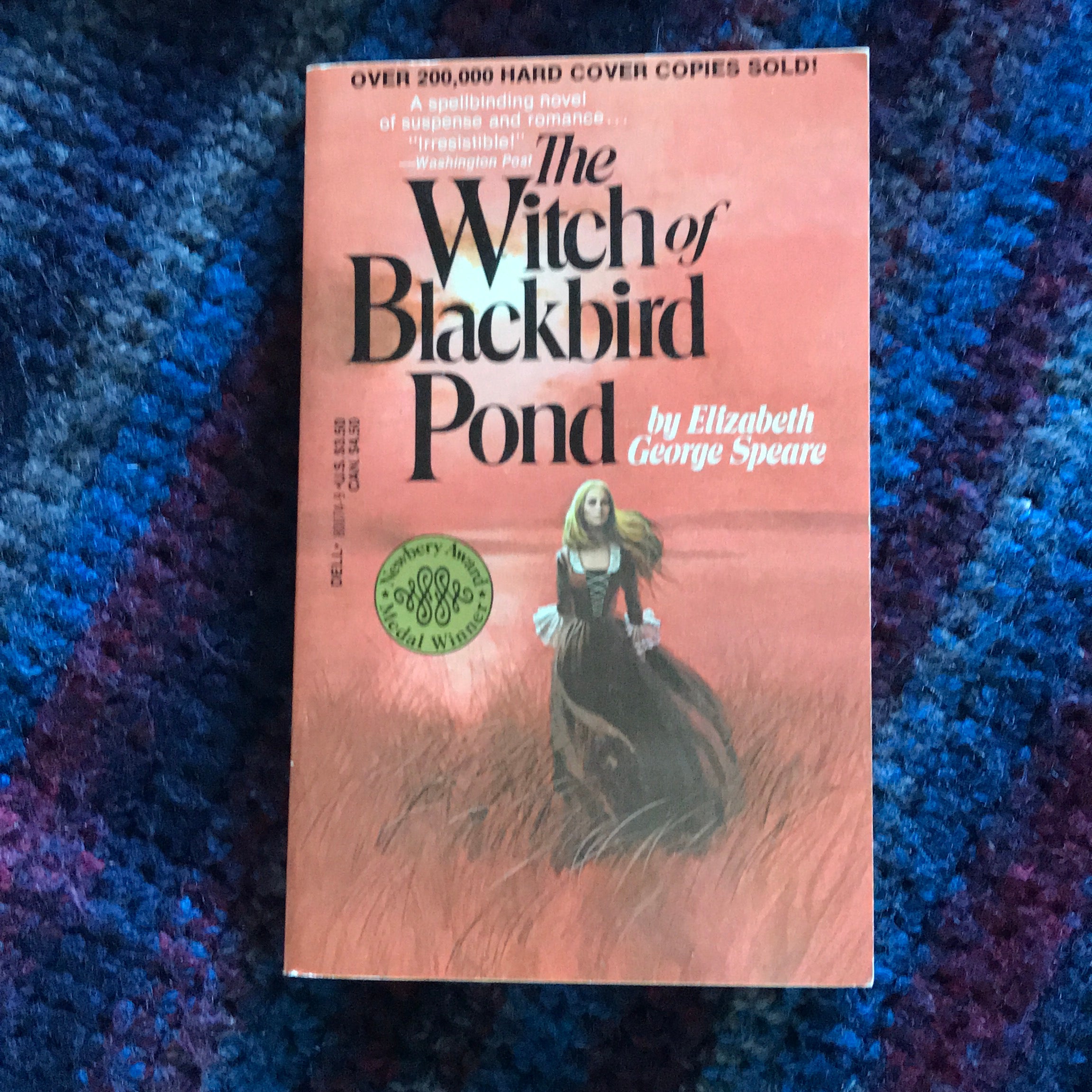 The Witch of Blackbird Pond