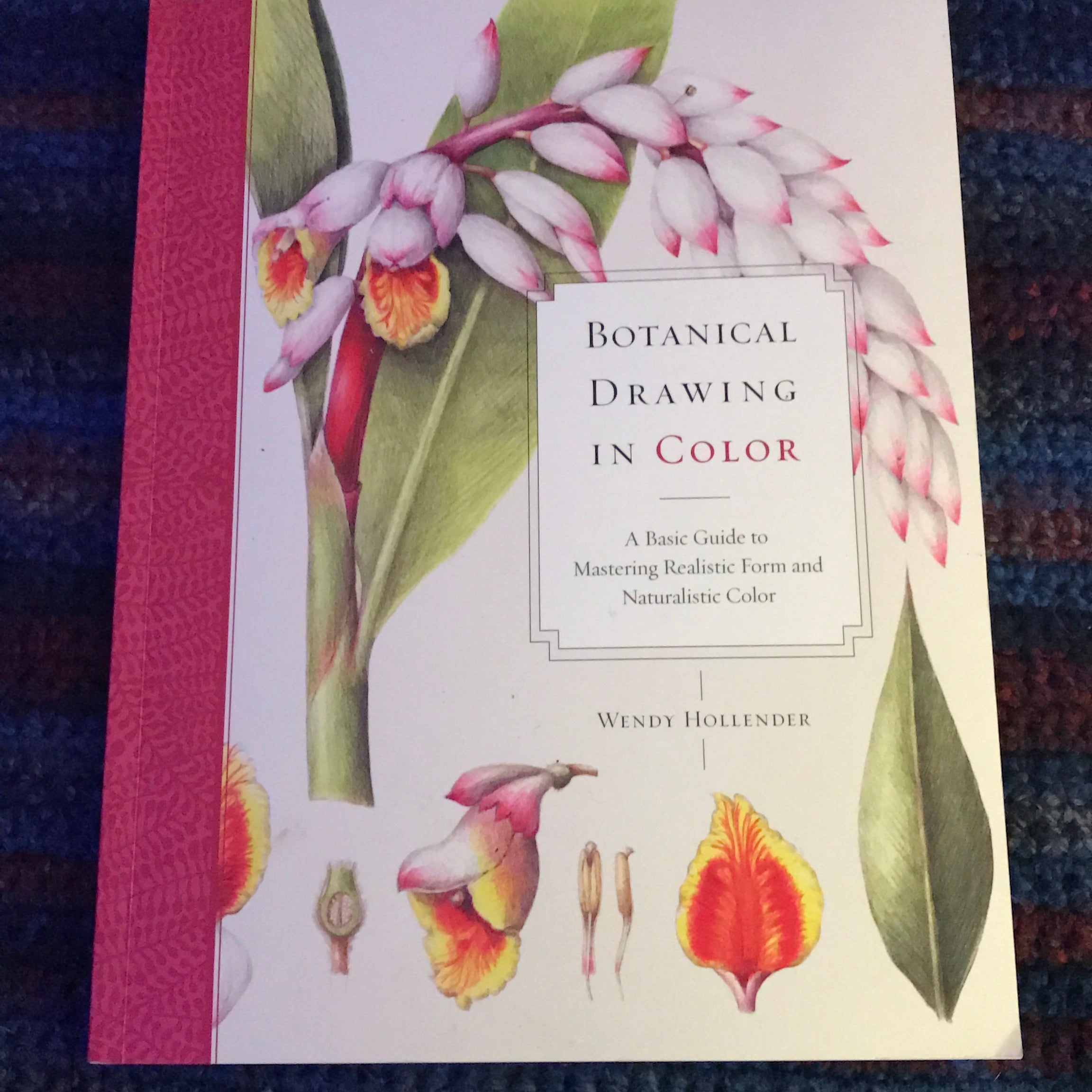 Botanical Drawing in Color