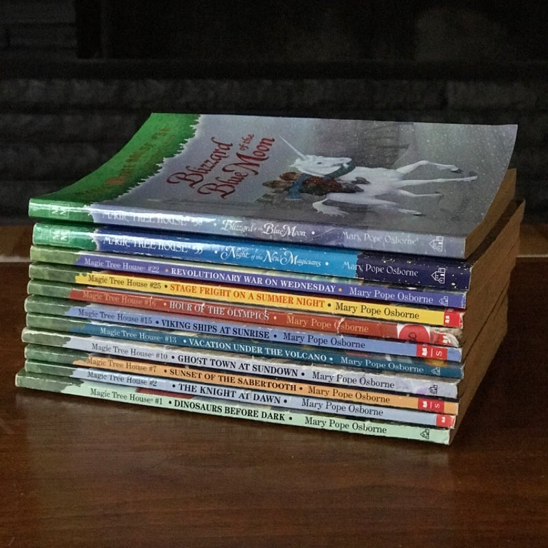 Magic Tree House Lot of 11