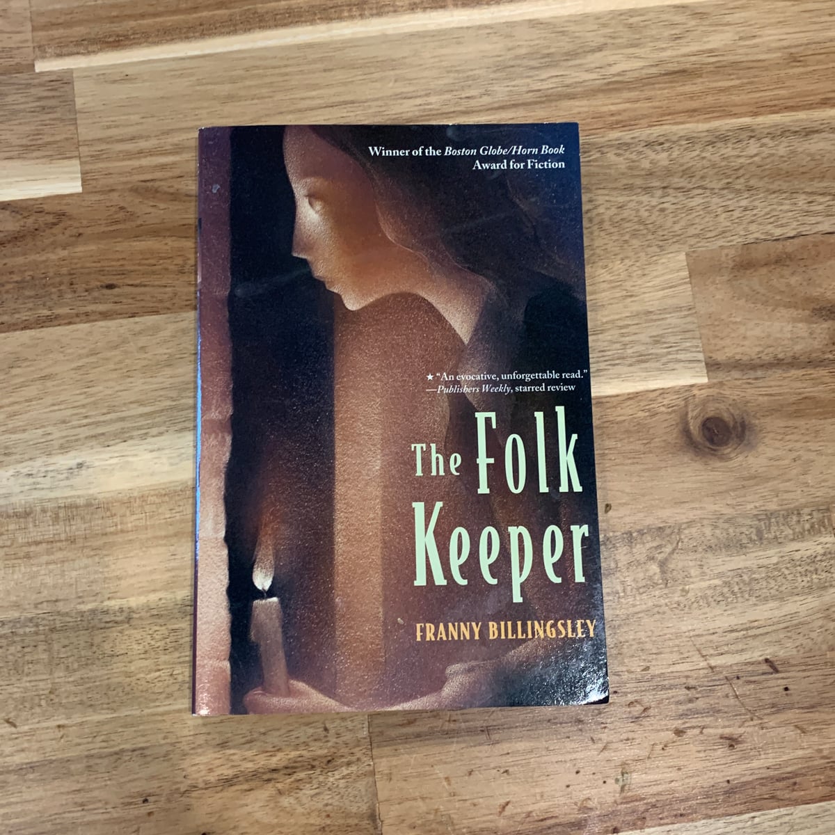 The Folk Keeper by Franny Billingsley