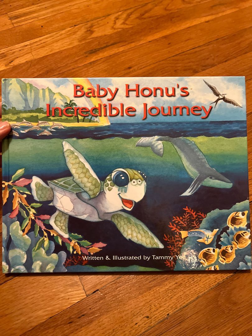 Baby Honu's Incredible Journey