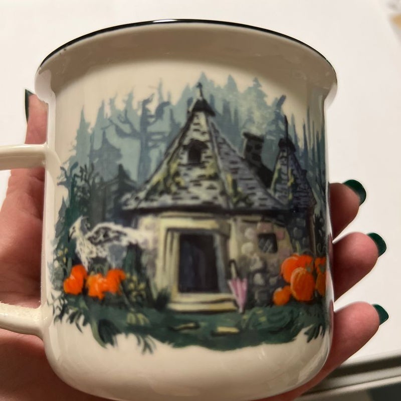 Hagrid’s Hut Owlcrate Exclusive Harry Potter Mug