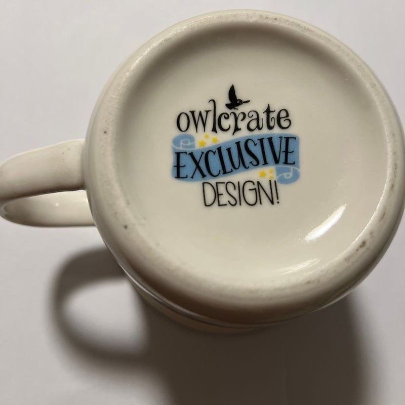 Hagrid’s Hut Owlcrate Exclusive Harry Potter Mug