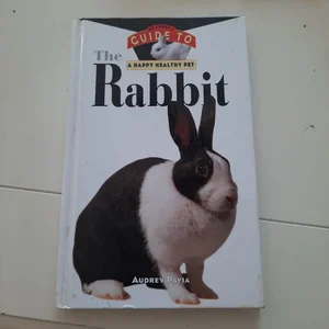 The Rabbit