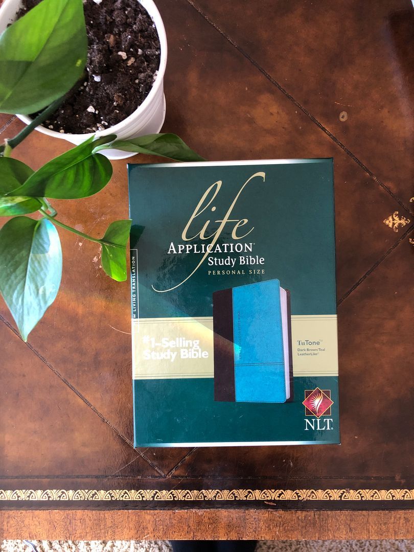 Life Application Study Bible