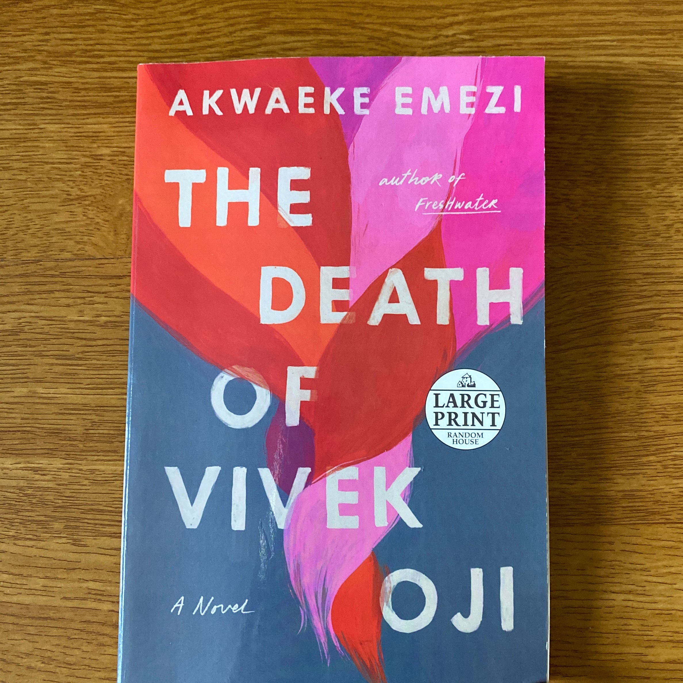 The Death of Vivek Oji