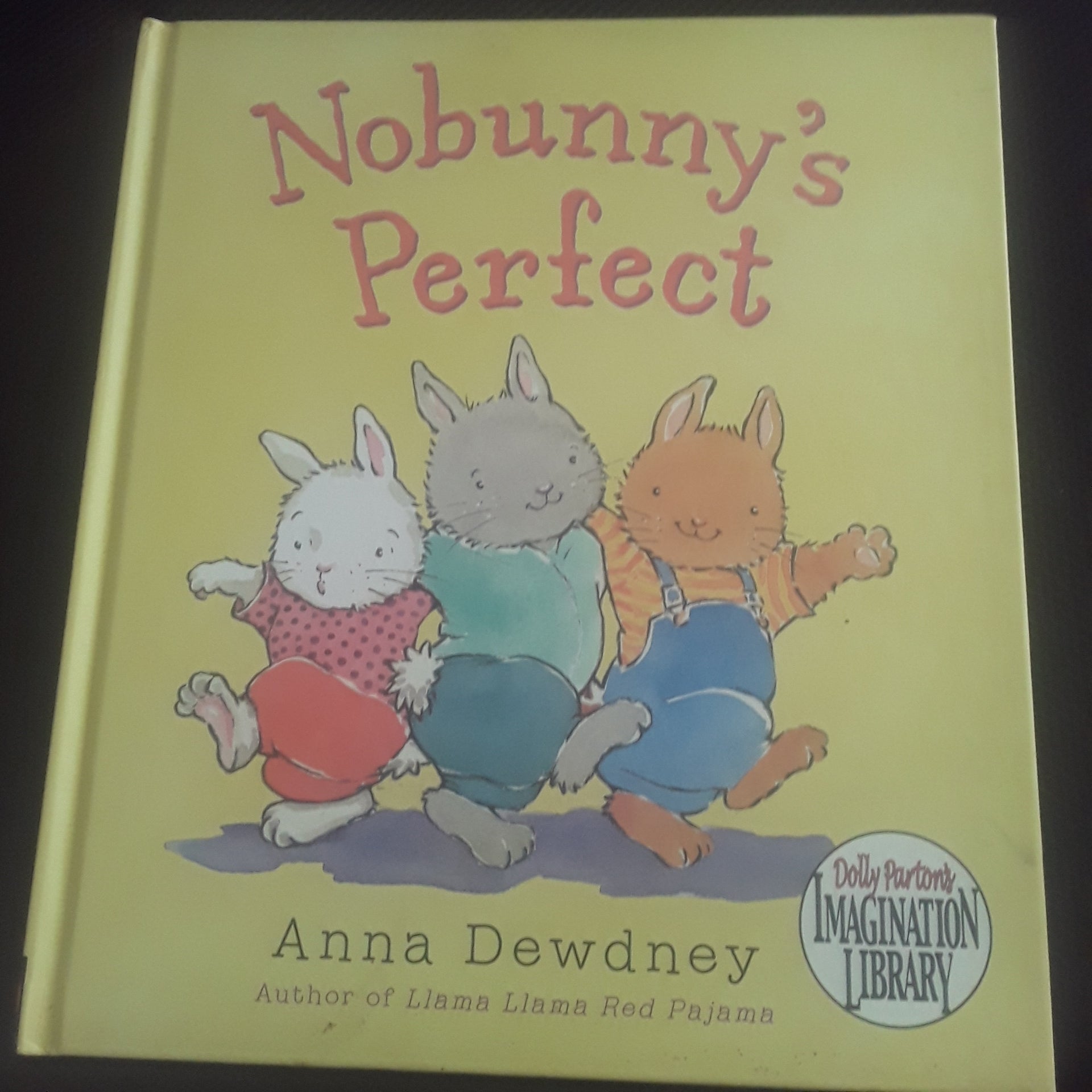 Nobunny's Perfect