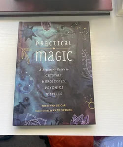 Practical Magic for Kids by Nikki Van De Car
