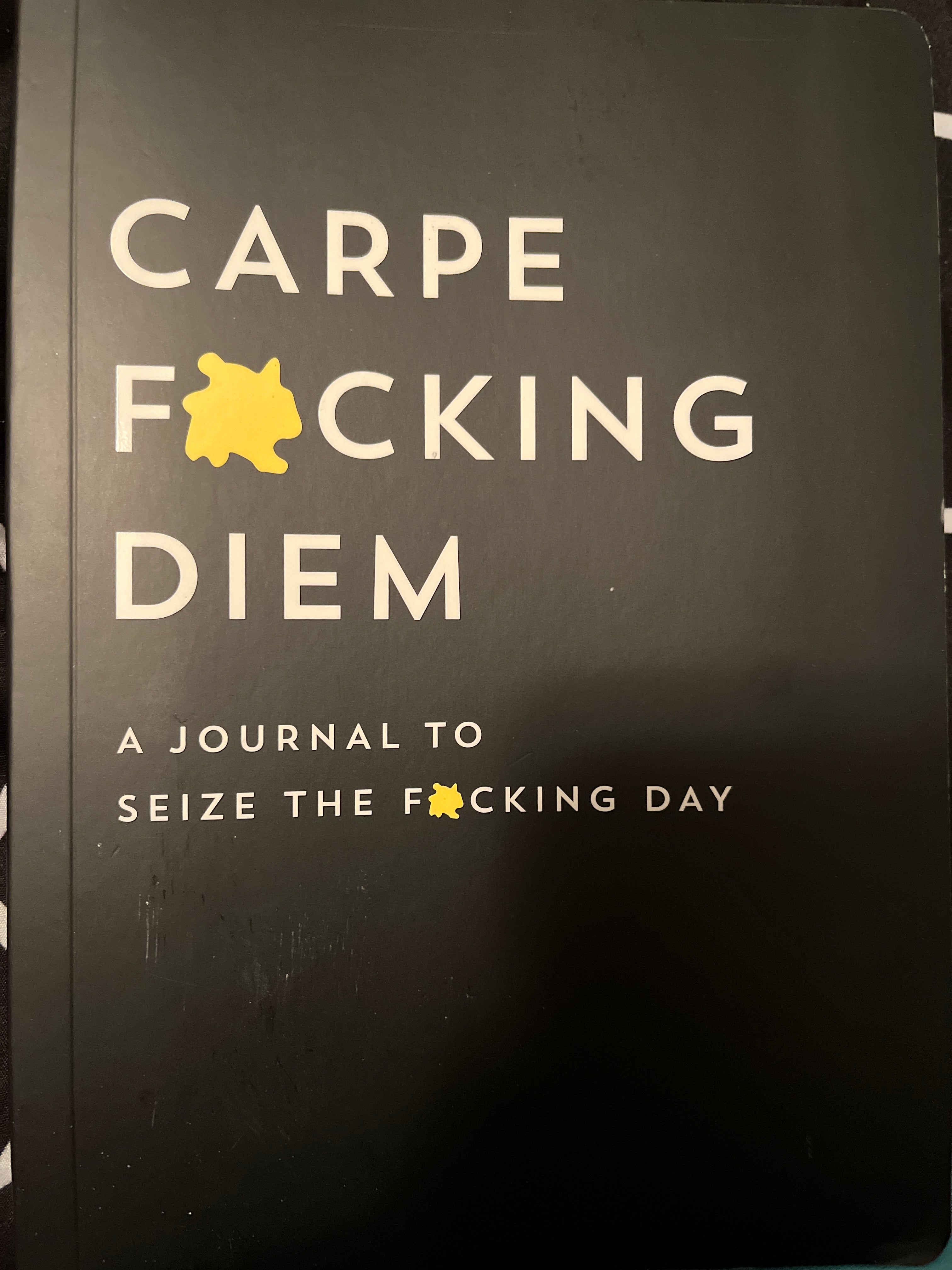 Carpe F*cking Diem Journal