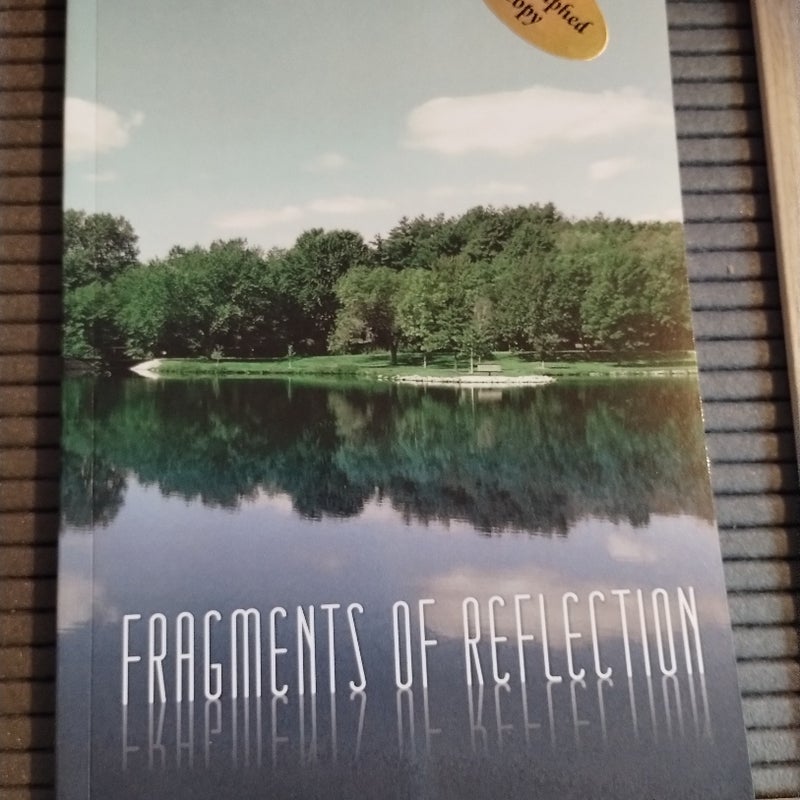 Fragments of Reflection