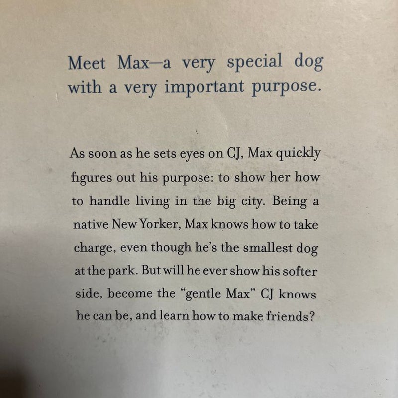 Max's Story