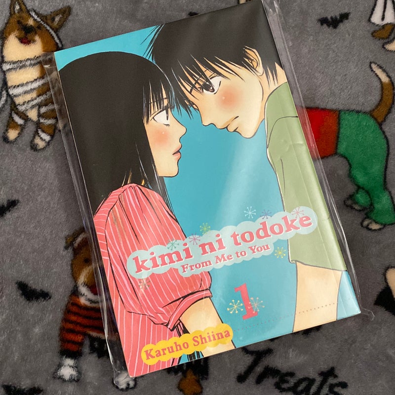 Kimi ni Todoke: from Me to You, Vol. 1