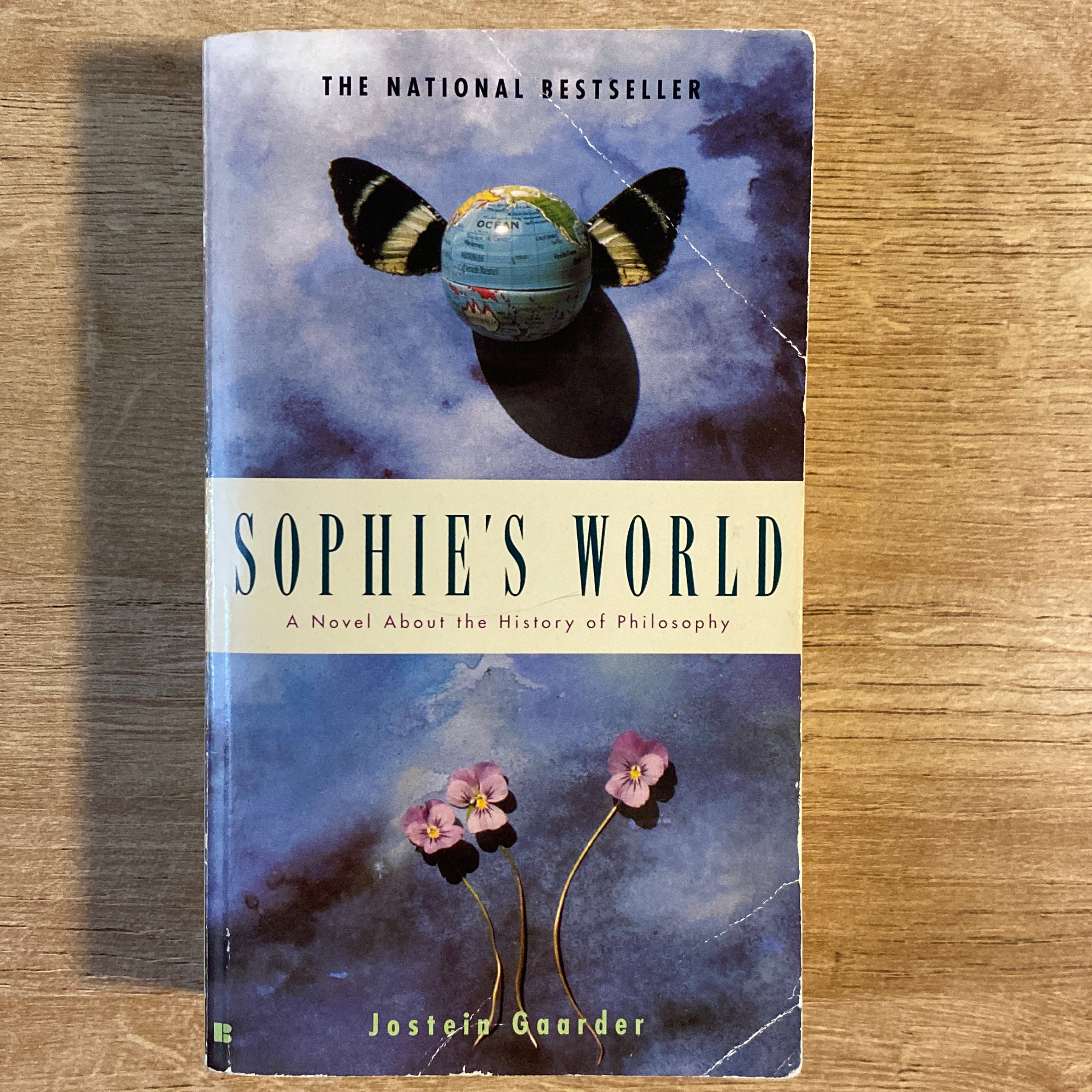 Sophie's World