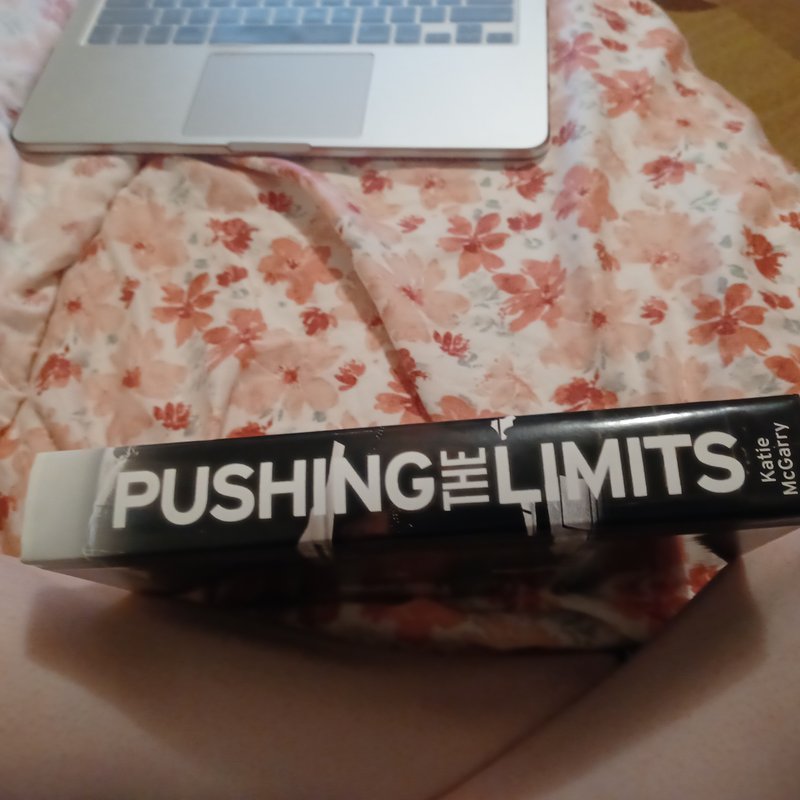 Pushing the Limits by Katie McGarry, Hardcover Pangobooks