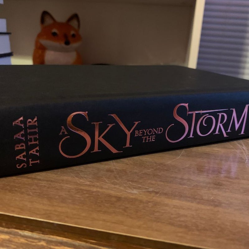 A Sky Beyond the Storm