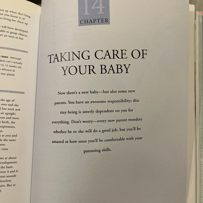 The Pregnancy Bible