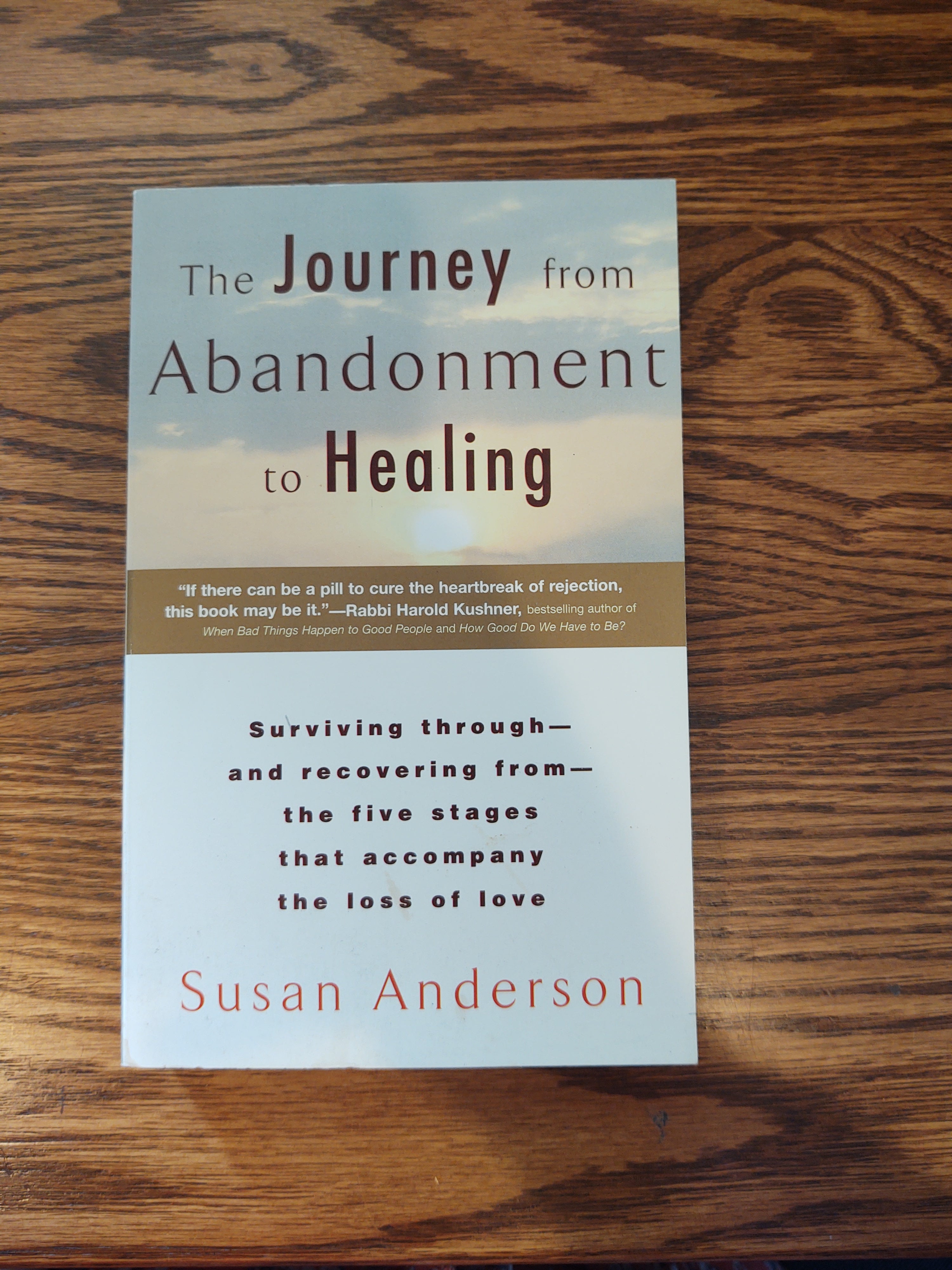 Journey from Abandonment to Healing