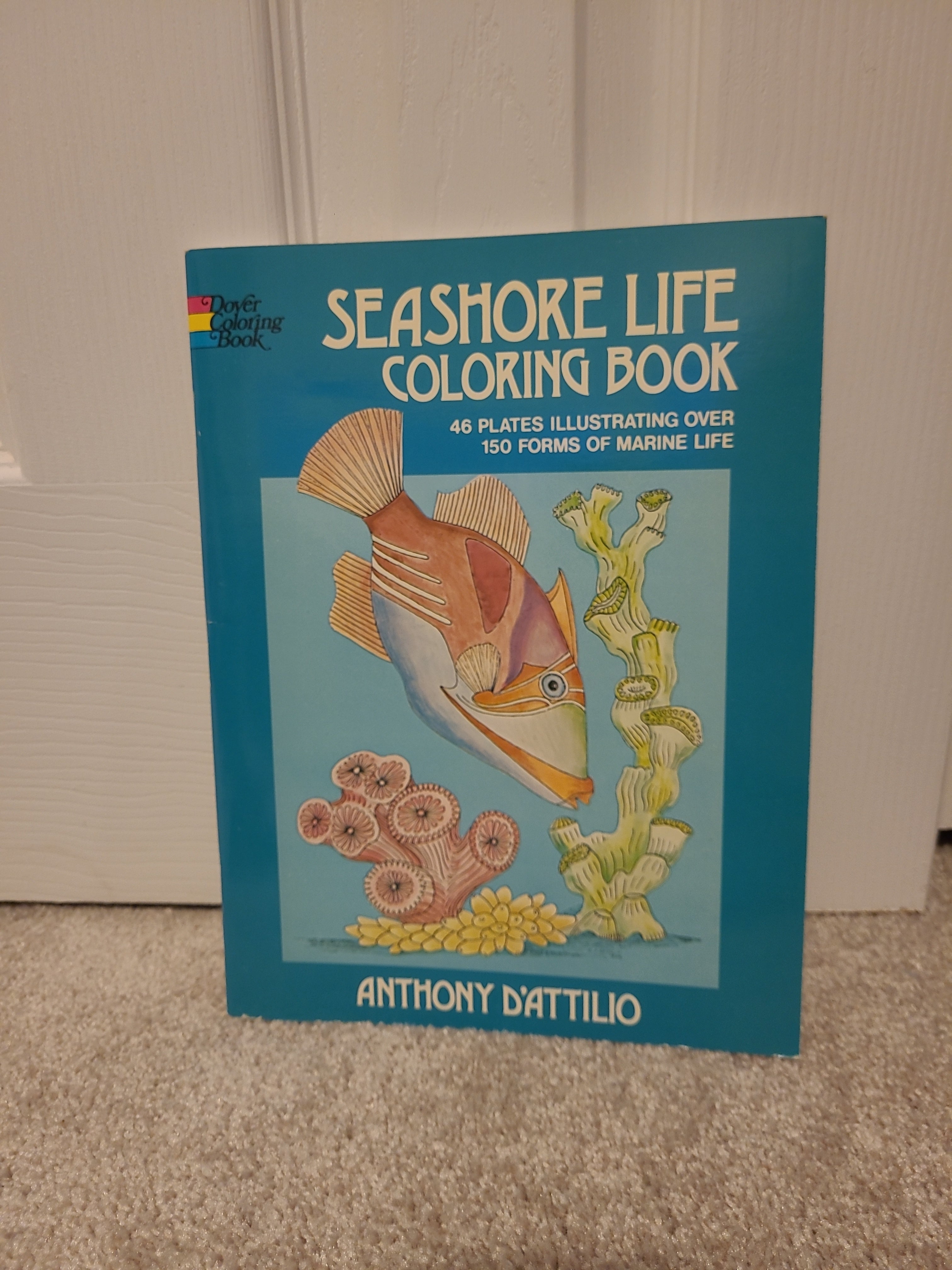 Seashore Life Coloring Book
