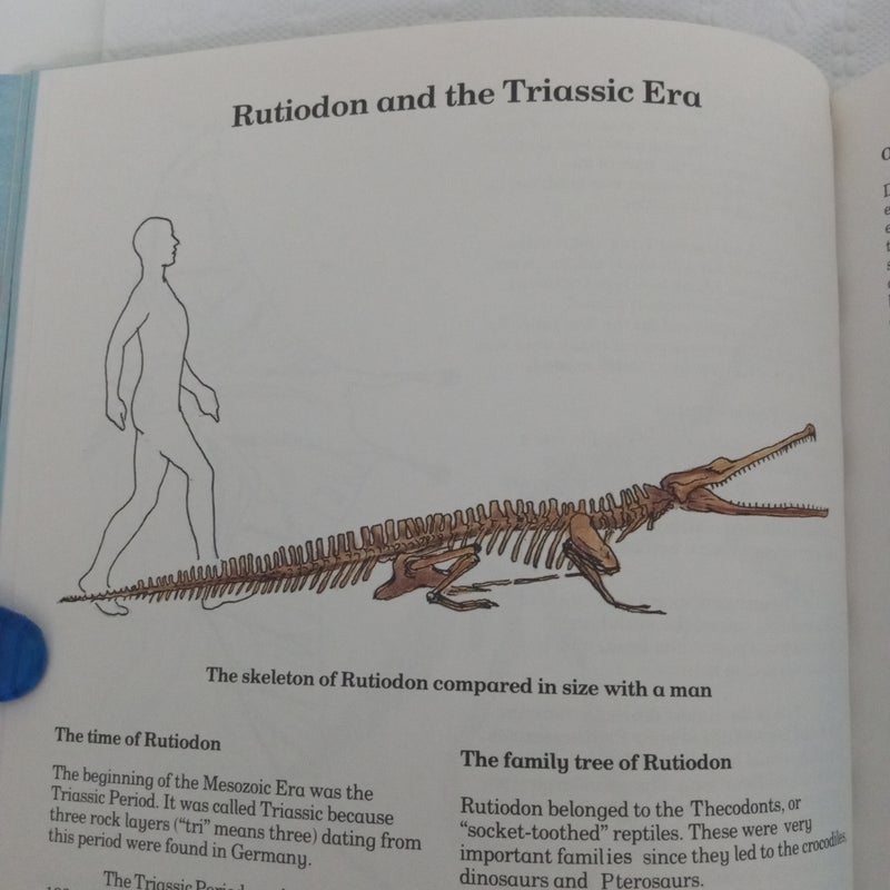 Colossal Book Of Dinosaurs 