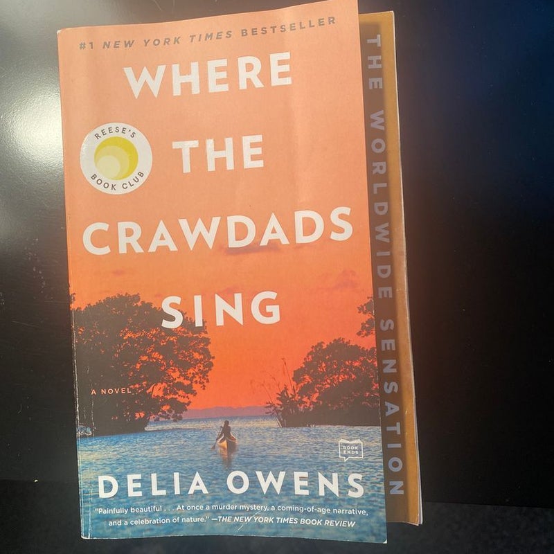 Where the Crawdads Sing