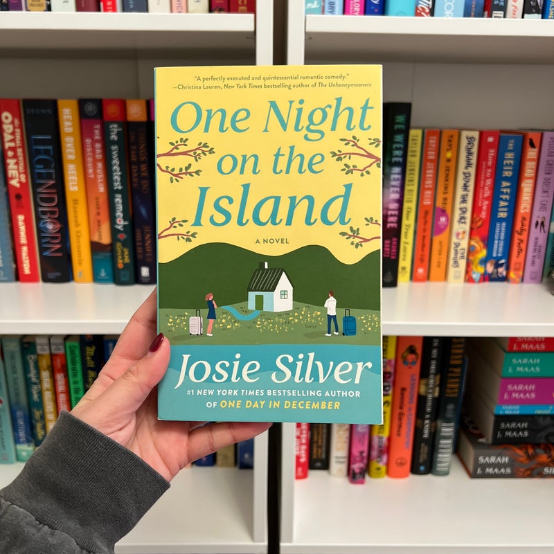 One Night on the Island