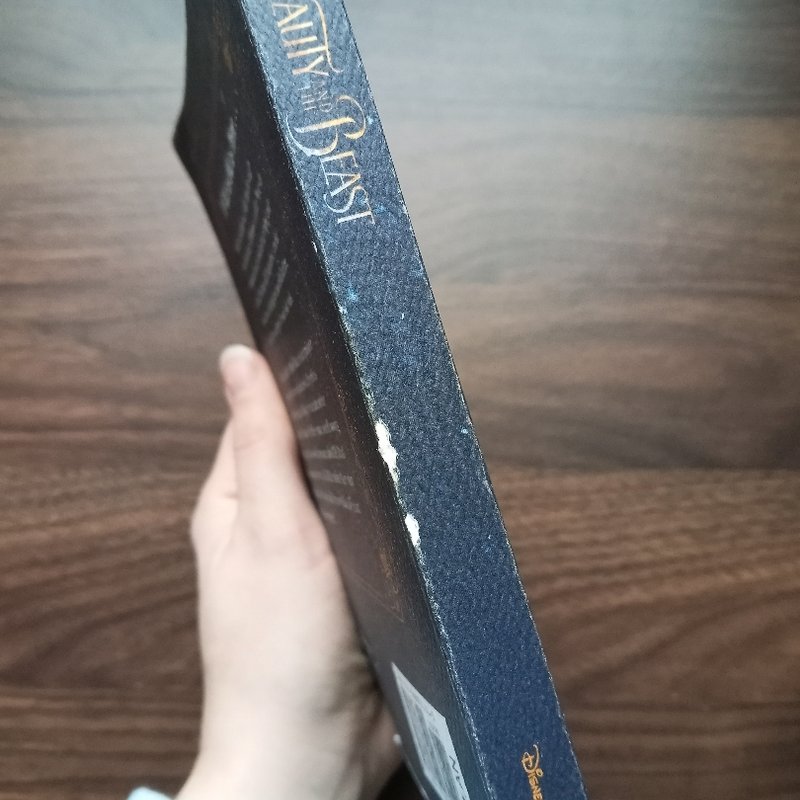 Beauty and the Beast Novelization