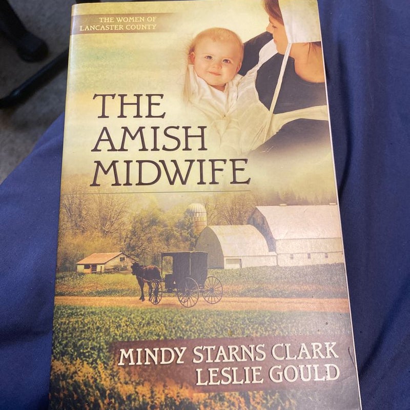 The Amish Midwife