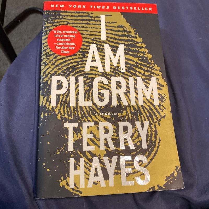 I Am Pilgrim