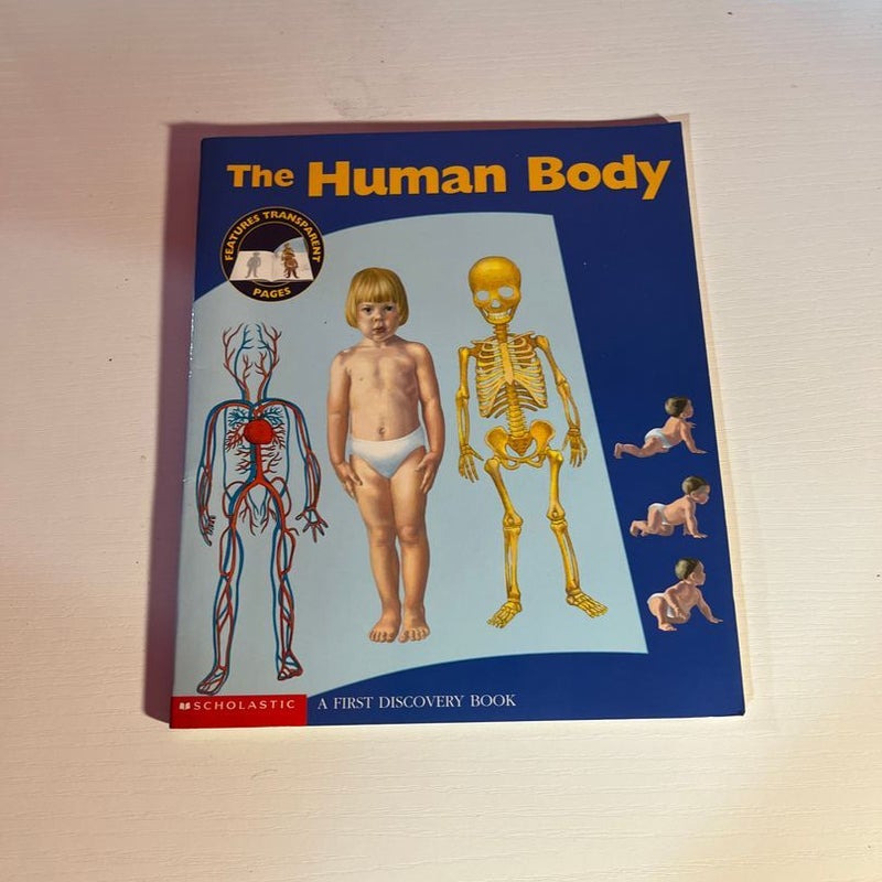 The human body