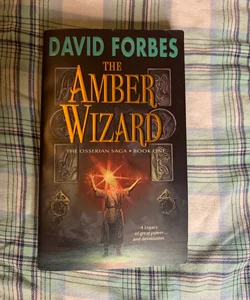 The Amber Wizard