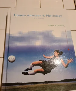 Human Anatomy and Physiology