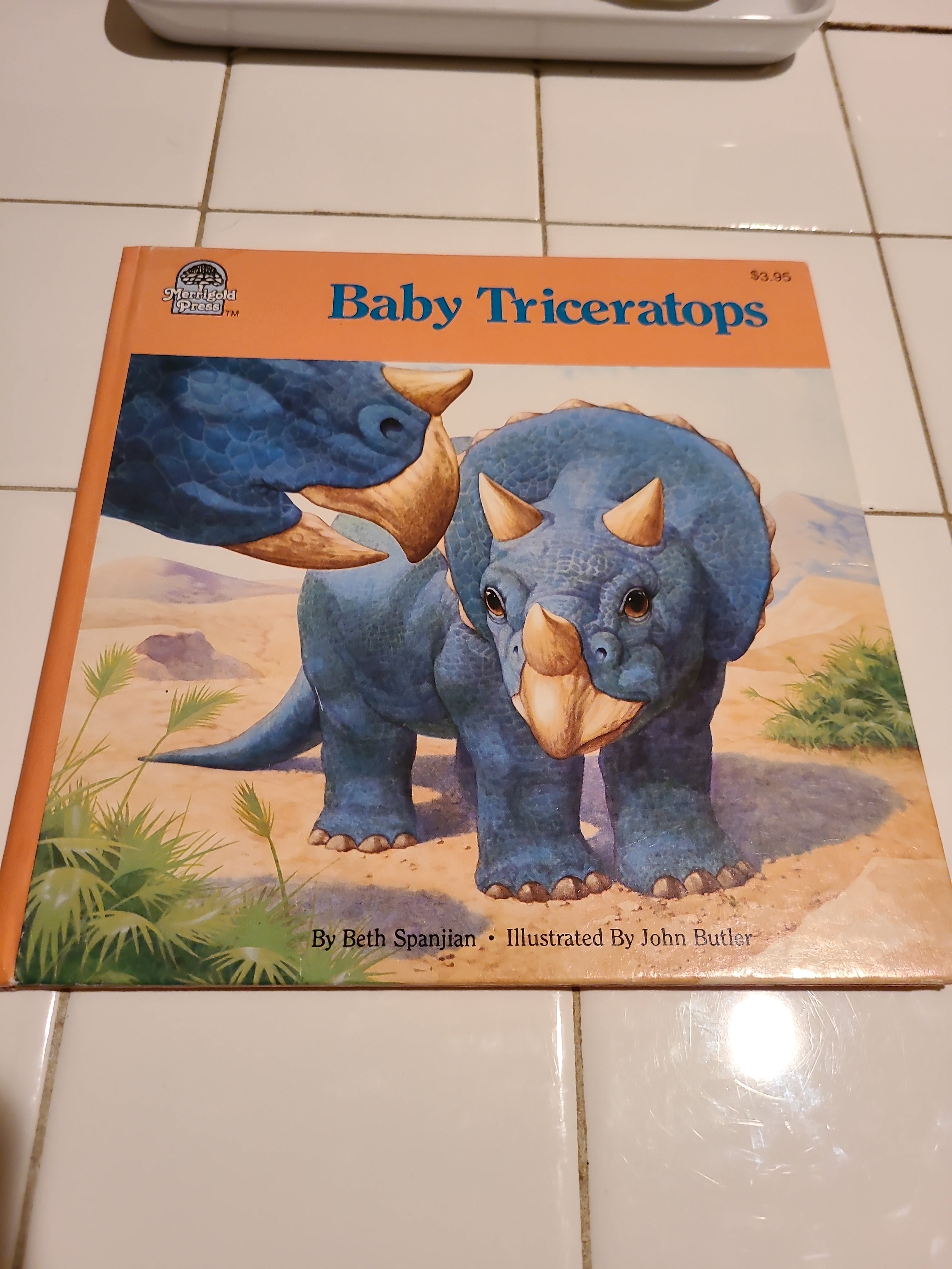 Baby Triceratops