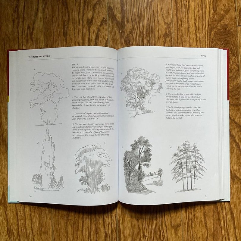 The Fundamentals of Drawing by Barrington Barber, Hardcover Pangobooks