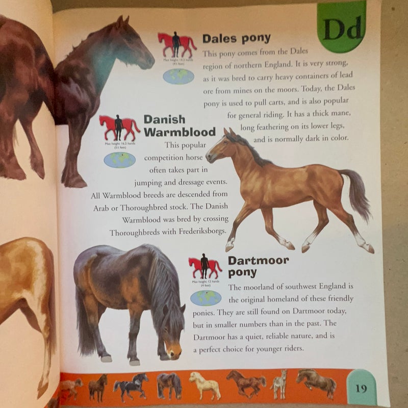 Horse Dictionary