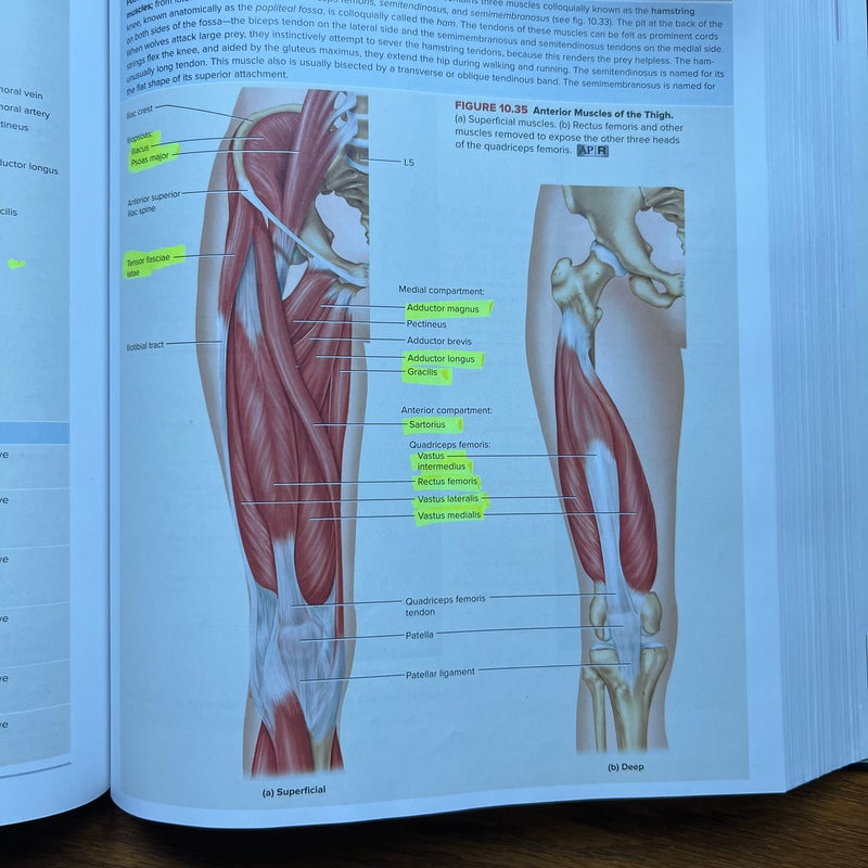 Anatomy and Physiology: the Unity of Form and Function