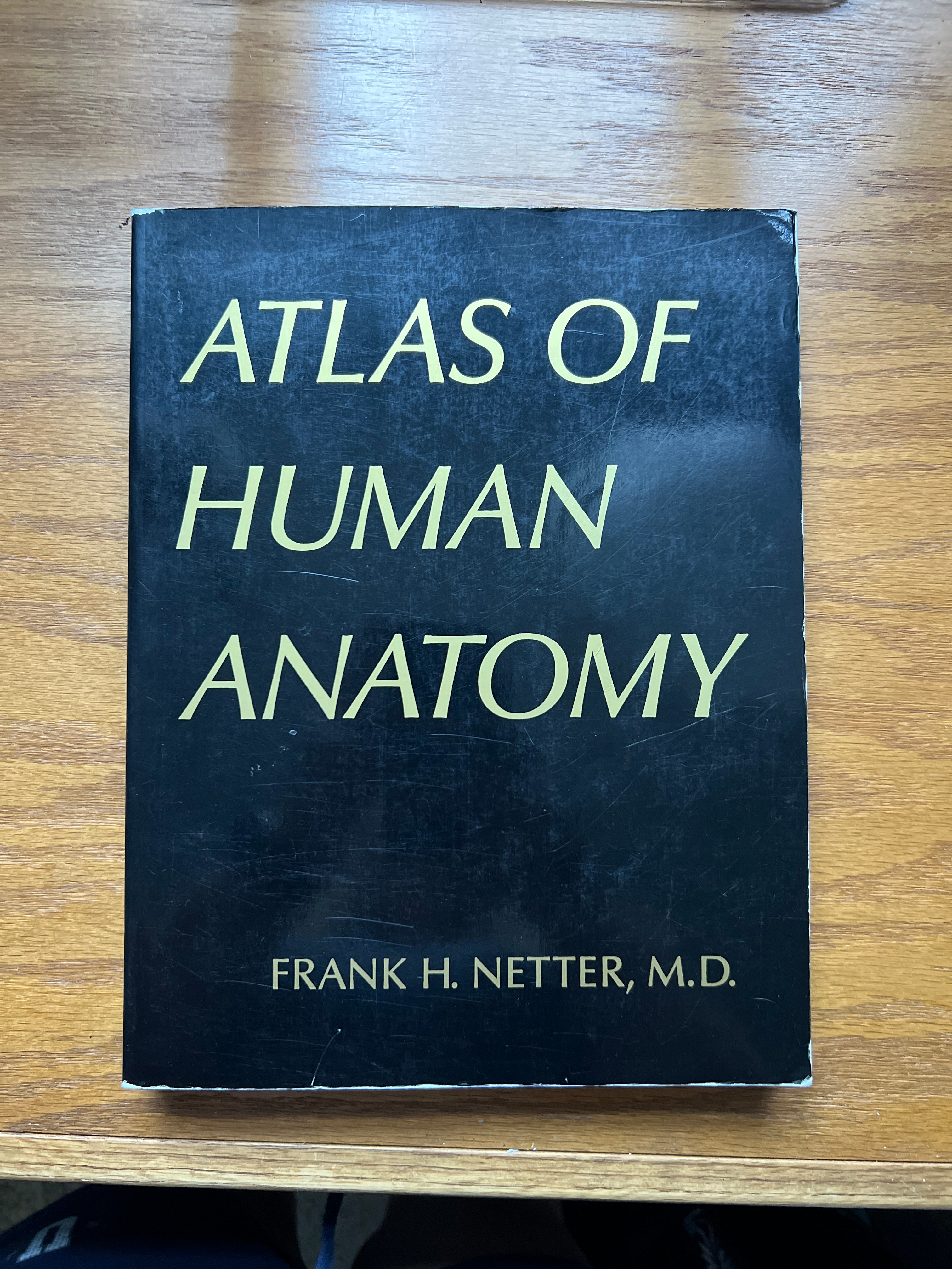 Atlas of Human Anatomy