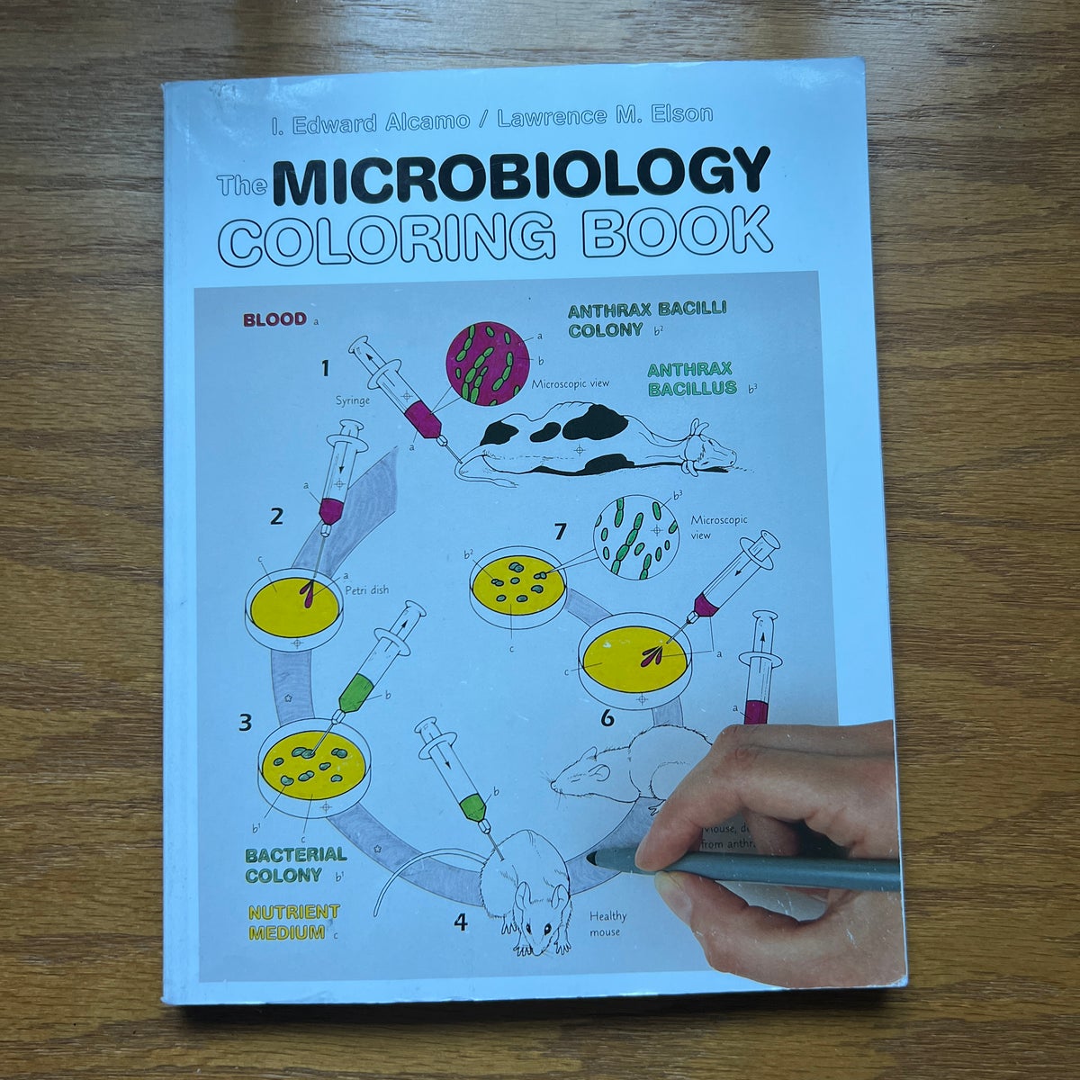 Microbiology Coloring Book