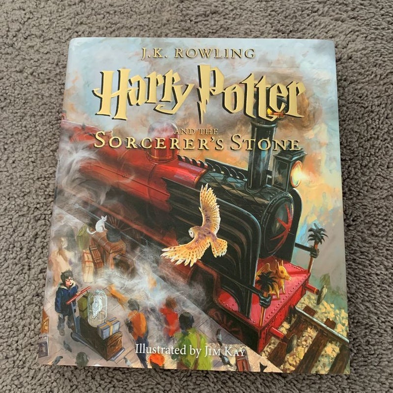 Harry Potter and the Sorcerer's Stone: The Illustrated Edition, Collector's  Edition (Harry Potter, Book 1) (1): 9780545919661: : Books