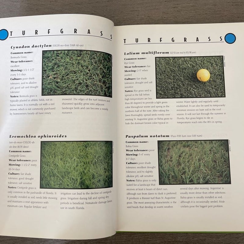 Betrocks Florida Plant Guide