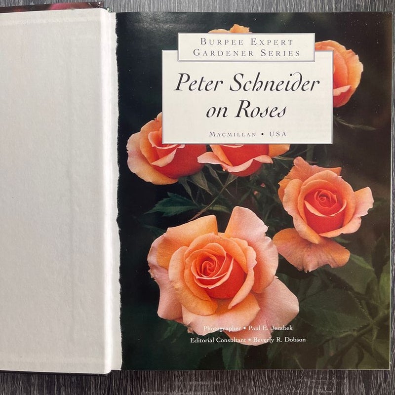 Peter Schneider on Roses